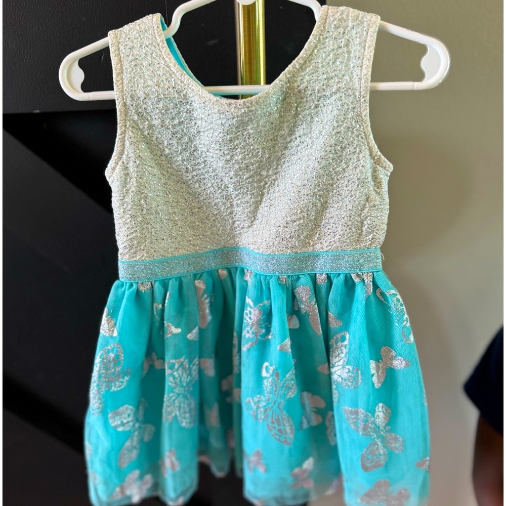 Fit and flare girls butterfly dress